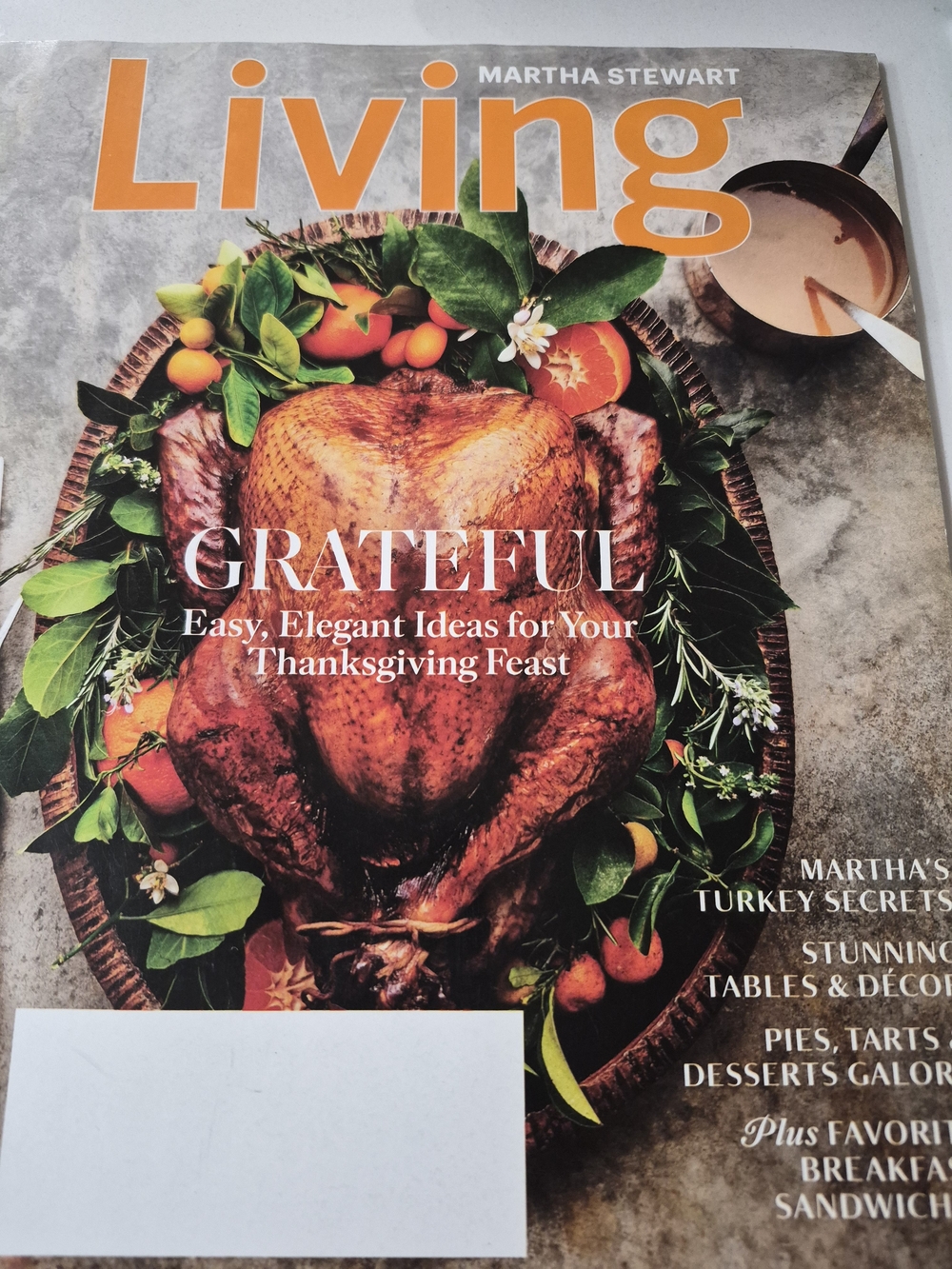 Martha Stewart Living Magazine-November 2011